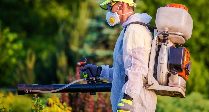 Gift Yourself A Healthy Life With Chelmsford Pest Control