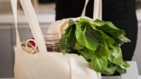 Organic Cotton vs Standard Cotton Bags: What Brands Need to Know