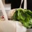 Organic Cotton vs Standard Cotton Bags: What Brands Need to Know